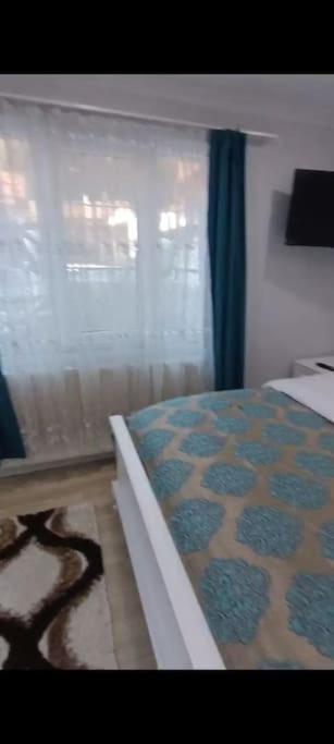 Standart Country house Uzungol