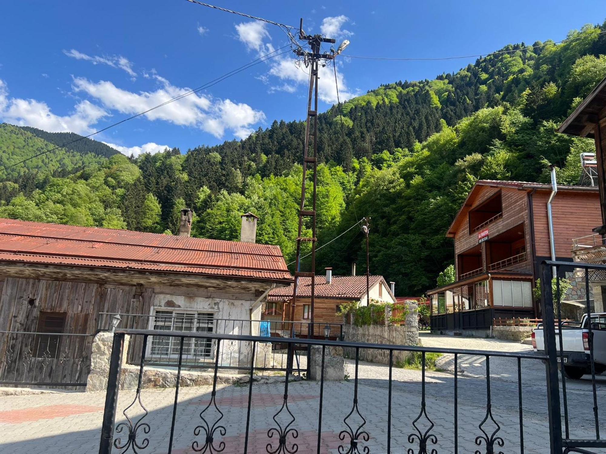 Standart Uzungol